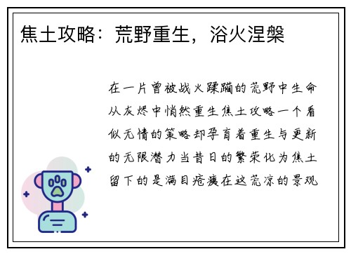 焦土攻略：荒野重生，浴火涅槃
